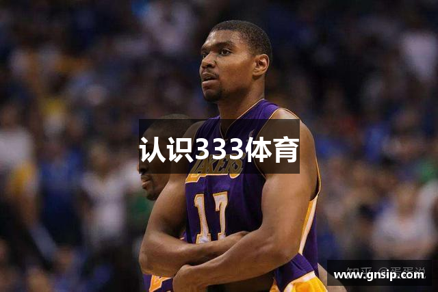 认识333体育